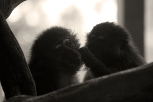 secrets between friends