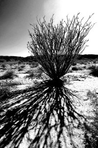 Sometimes what's beneath the surface is the most complicated.