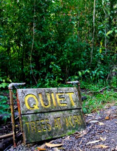 Respect the hard working photosynthesizing plants!
