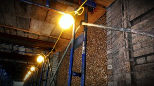 Walking a city is always a beautiful experience...even when things are "in progress".