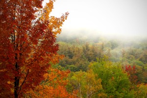 My first Fall in New England.