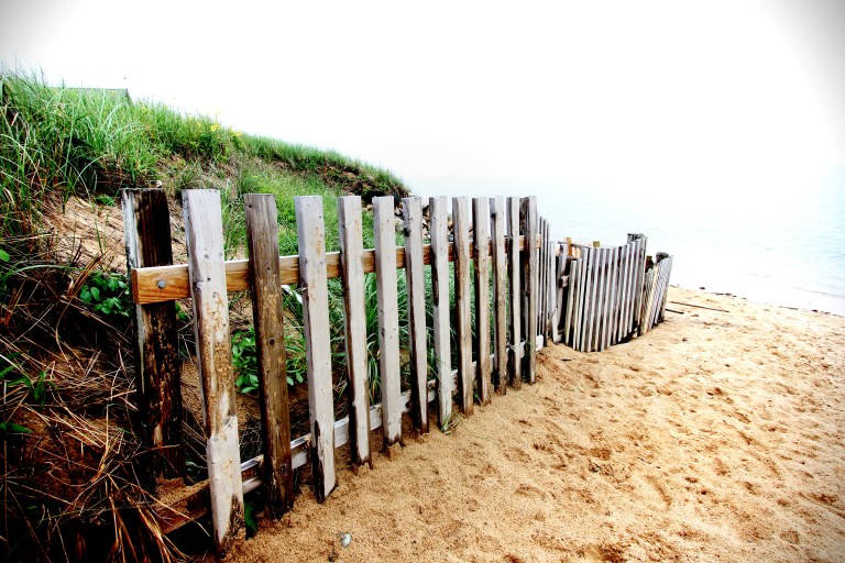 I always have loved the idea of visiting Cape Cod.